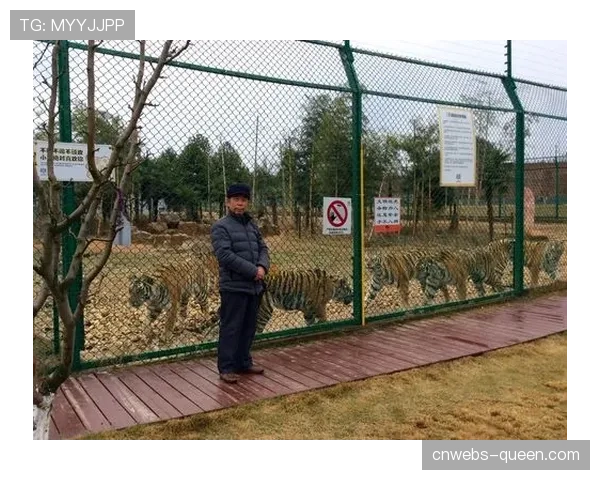 老虎与白袜的比赛因雾太大，在第七局后提前结束